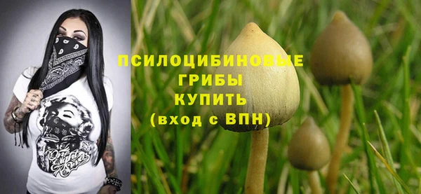 гидропоника Краснотурьинск